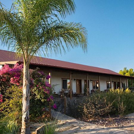 Terra Del Valle Bed & Breakfast Valle de Guadalupe Dış mekan fotoğraf