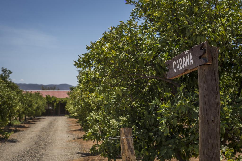 Terra Del Valle Bed & Breakfast Valle de Guadalupe Dış mekan fotoğraf
