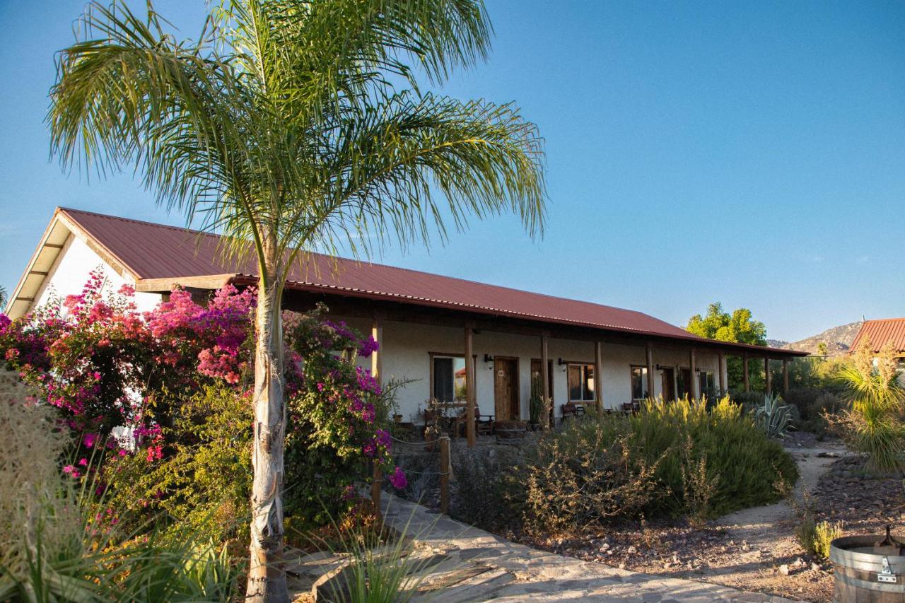 Terra Del Valle Bed & Breakfast Valle de Guadalupe Dış mekan fotoğraf