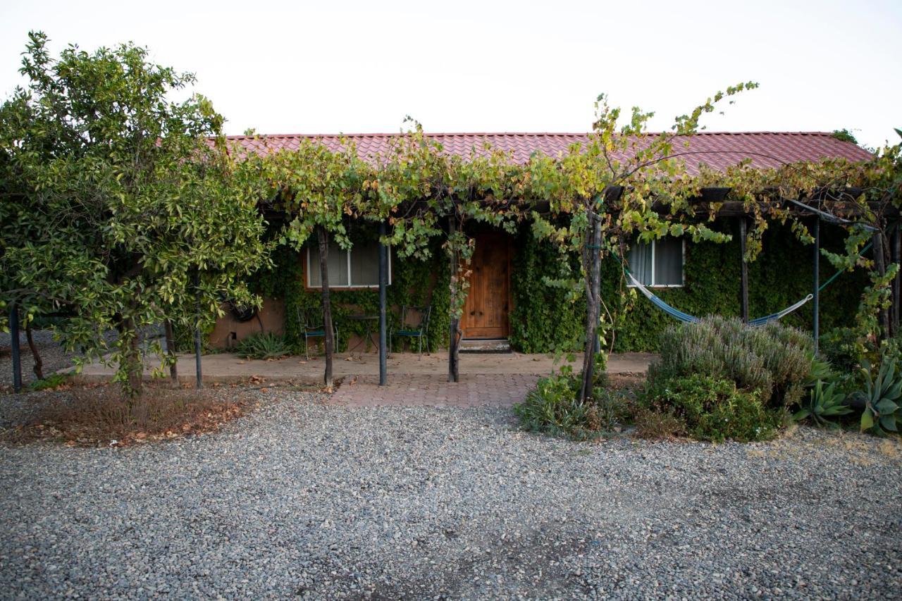 Terra Del Valle Bed & Breakfast Valle de Guadalupe Dış mekan fotoğraf
