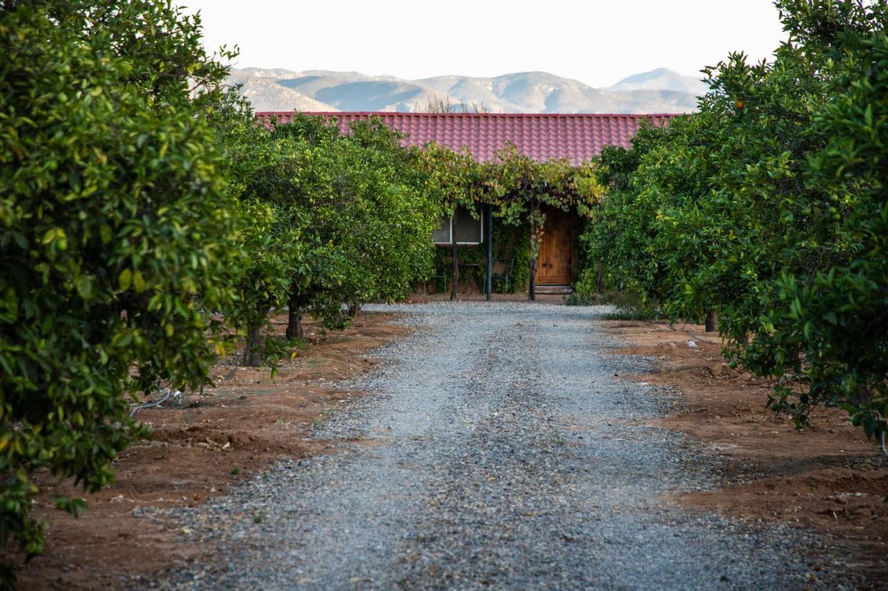 Terra Del Valle Bed & Breakfast Valle de Guadalupe Dış mekan fotoğraf