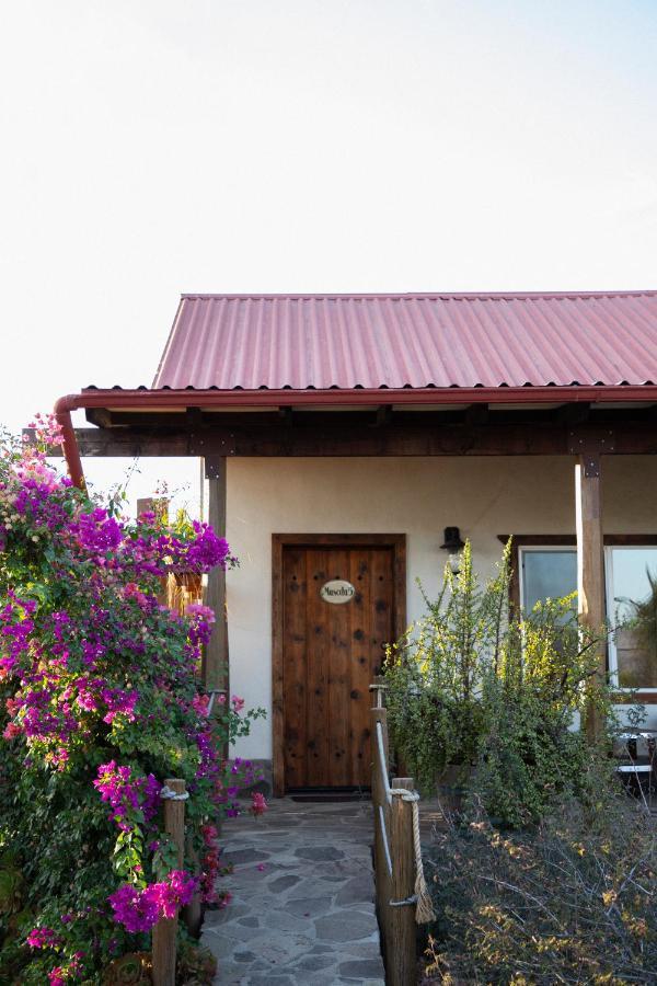 Terra Del Valle Bed & Breakfast Valle de Guadalupe Dış mekan fotoğraf