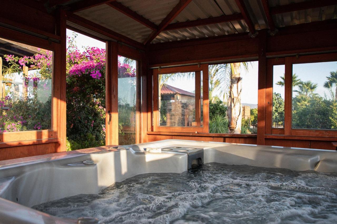 Terra Del Valle Bed & Breakfast Valle de Guadalupe Dış mekan fotoğraf