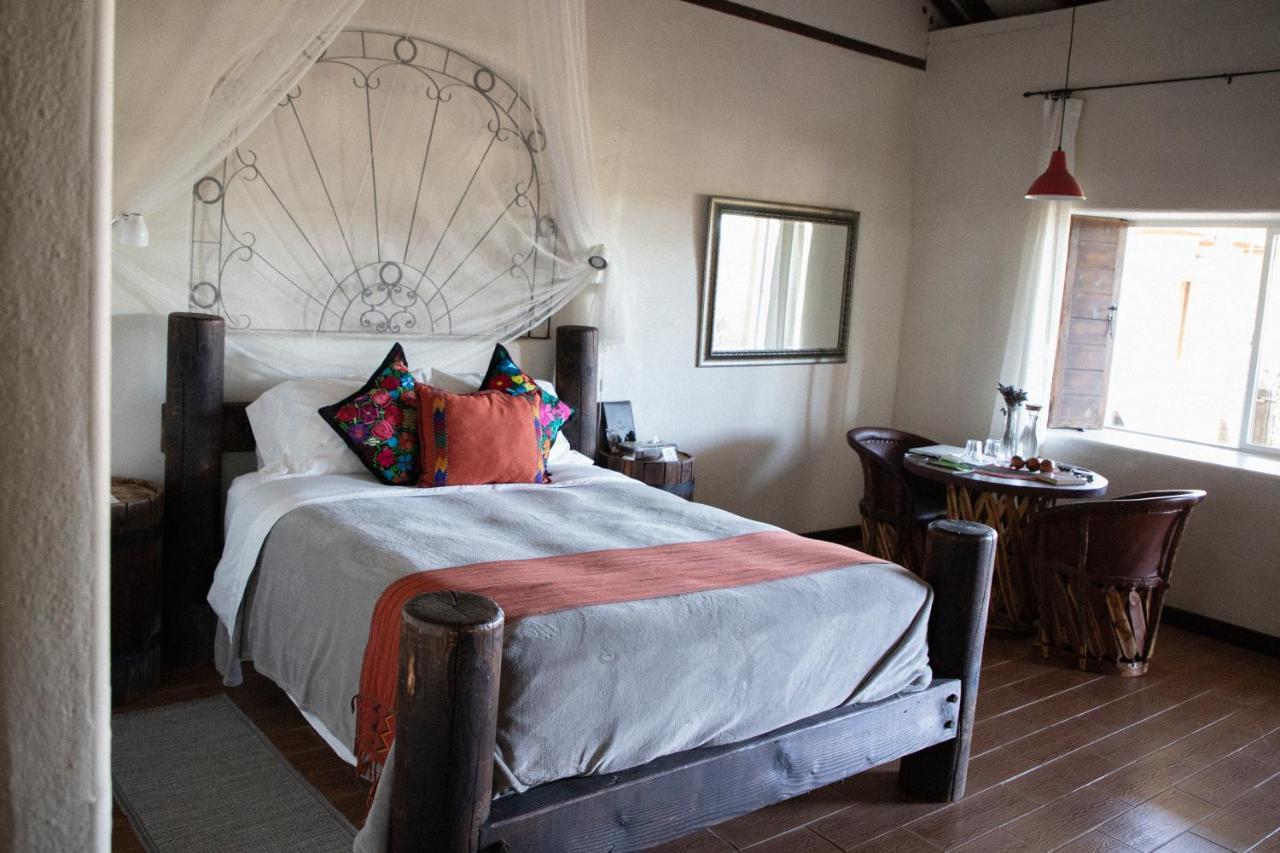 Terra Del Valle Bed & Breakfast Valle de Guadalupe Dış mekan fotoğraf
